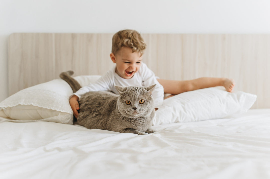 a boy and a cat playing in the bed with white bed sheet
